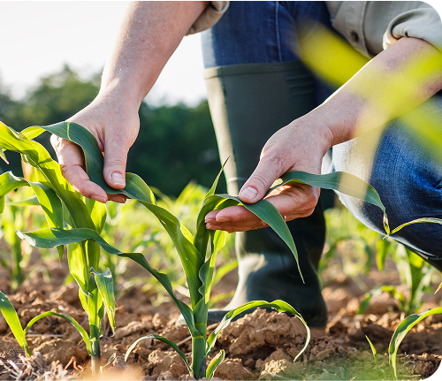 Built for your industry